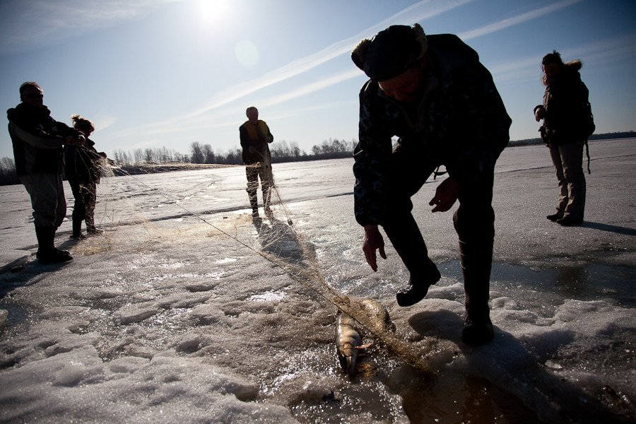На Херсонщине браконьеров не сдерживают даже лютые морозы: рыбаки нанесли ущерб почти на 6 тысяч гривен