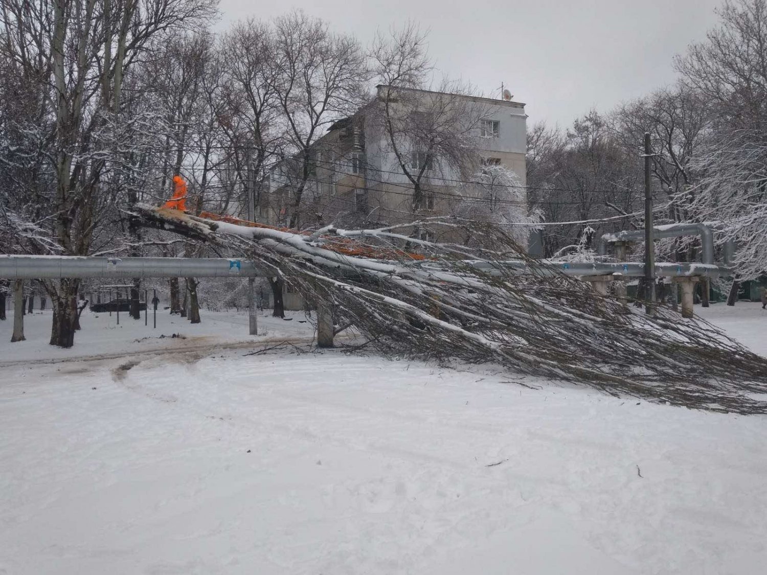 Последствия непогоды в Херсонской области: поваленные деревья