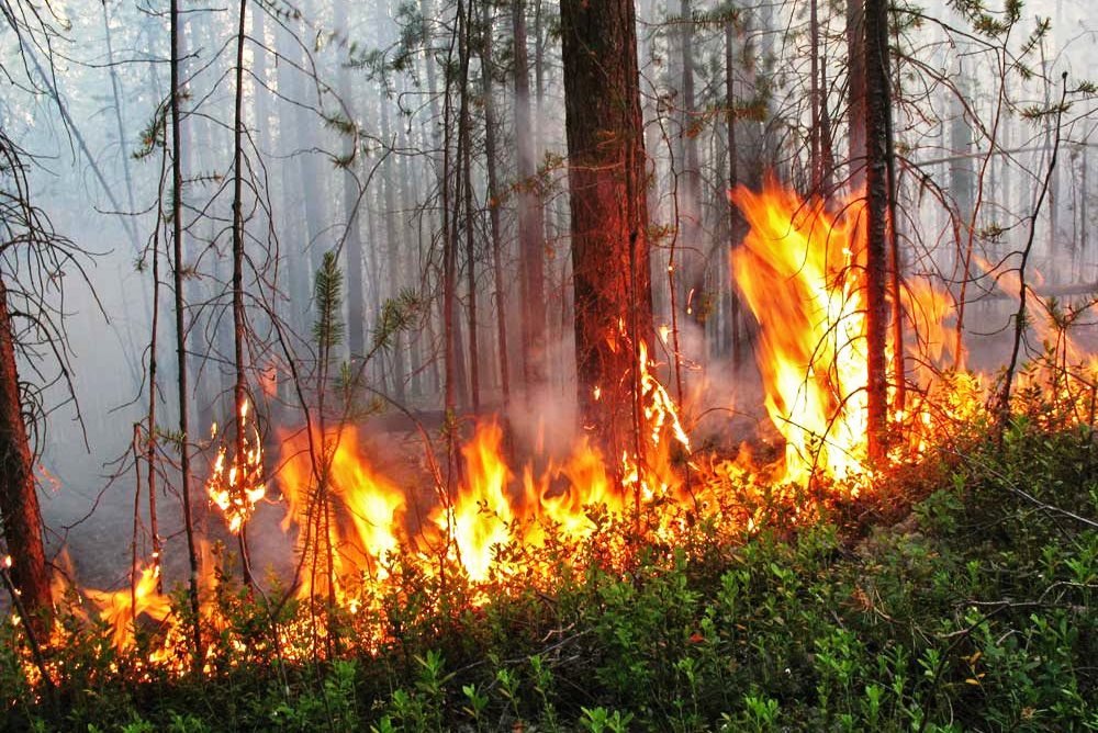 Пожары на Херсонщине будет выявлять современная система