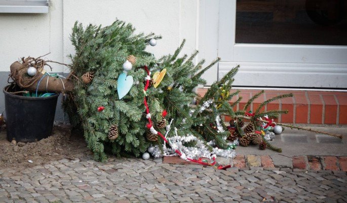 Жители областного центра начали выбрасывать ёлки не дожидаясь Рождества