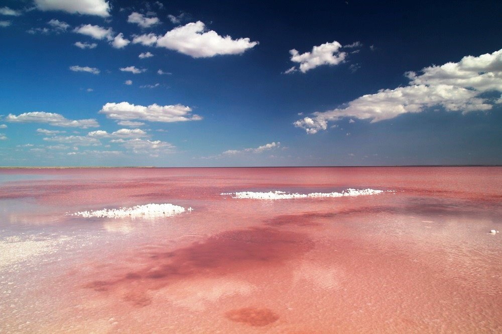 Знаменитое Розовое озеро на Арабатской Стрелке сняли в 3D из воздуха