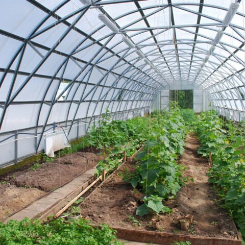 Фермеру на Херсонщине нанесли большой ущерб