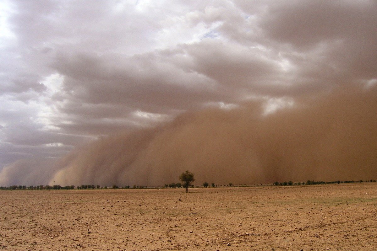 Херсонщину заносит песком: чем вызваны пыльные ураганы
