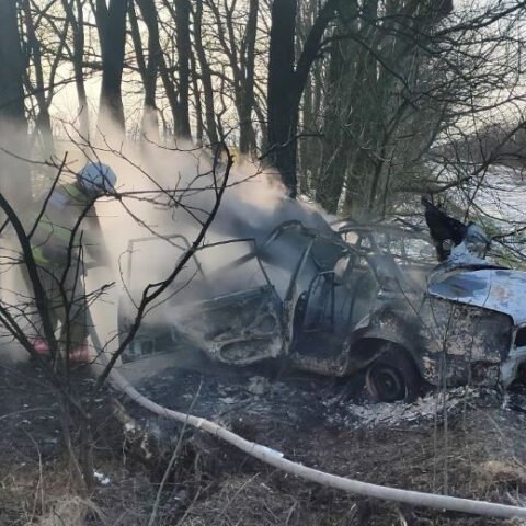 На Херсонщине посреди трассы загорелся легковой автомобиль