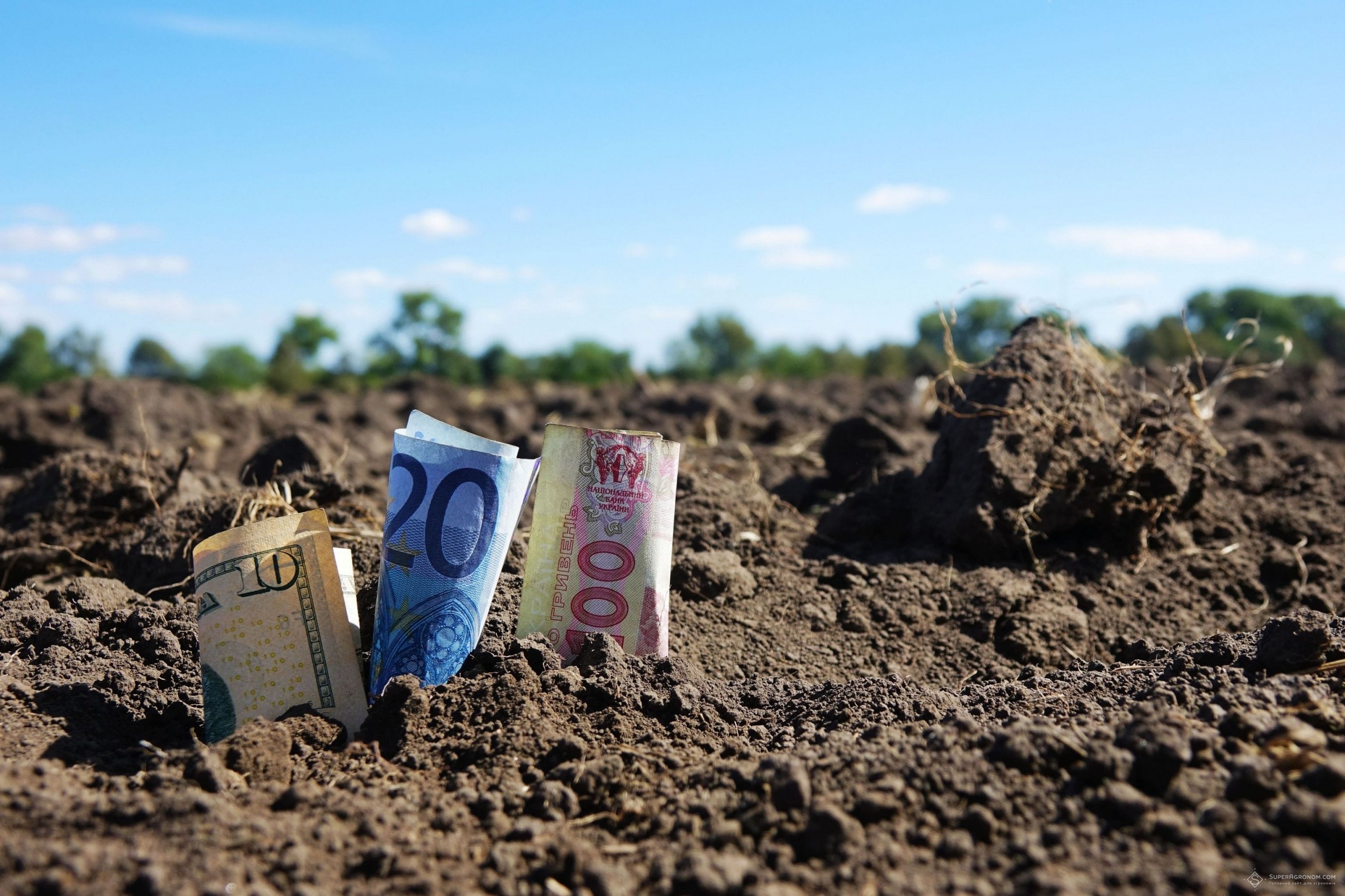 Открытие рынка земли может провалиться из-за нежелания украинцев продавать собственную землю
