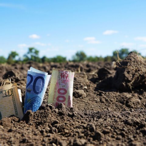 Открытие рынка земли может провалиться нежелания украинцев продавать собственную землю