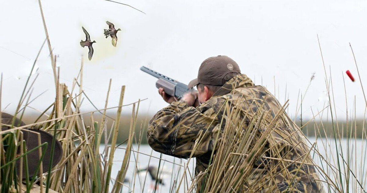 Ради забавы расстрелял 5 лебедей: полиция Херсонщины отреагировала на сообщения граждан в соцсетях об убийствах птиц