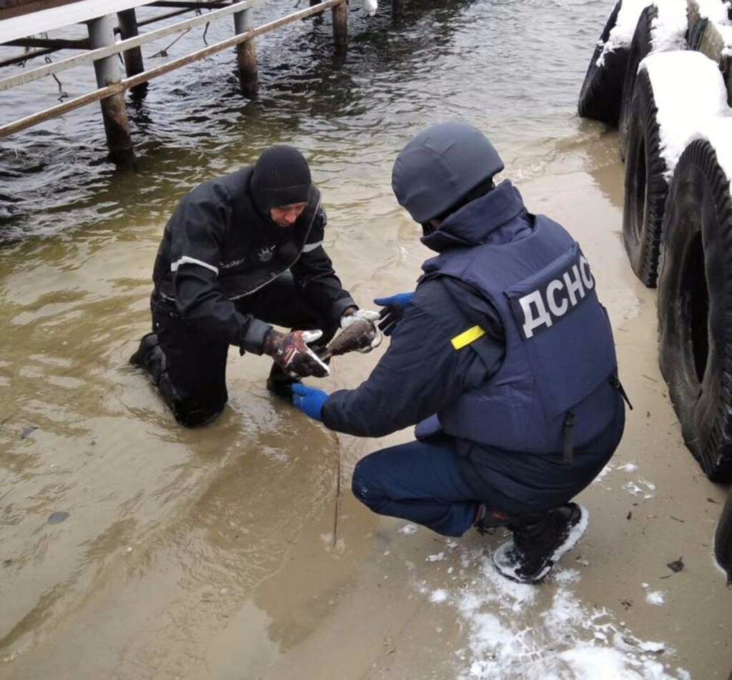 В Херсоне нашли миномётную мину времен Второй мировой войны