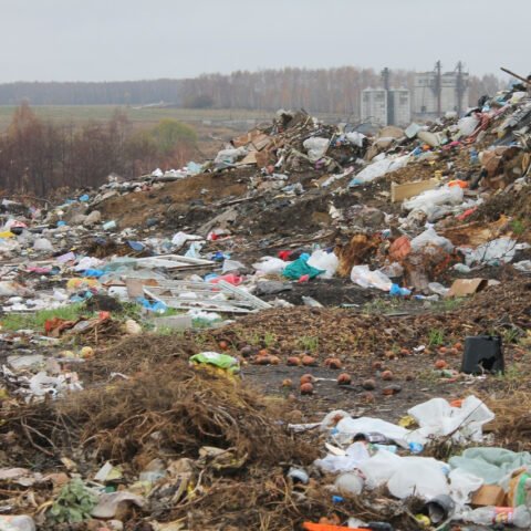 В Херсонской области находится 220 стихийных свалок