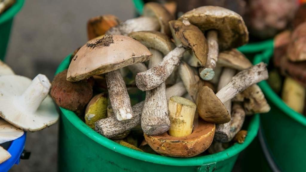 Жительница Херсонской области отравилась грибами