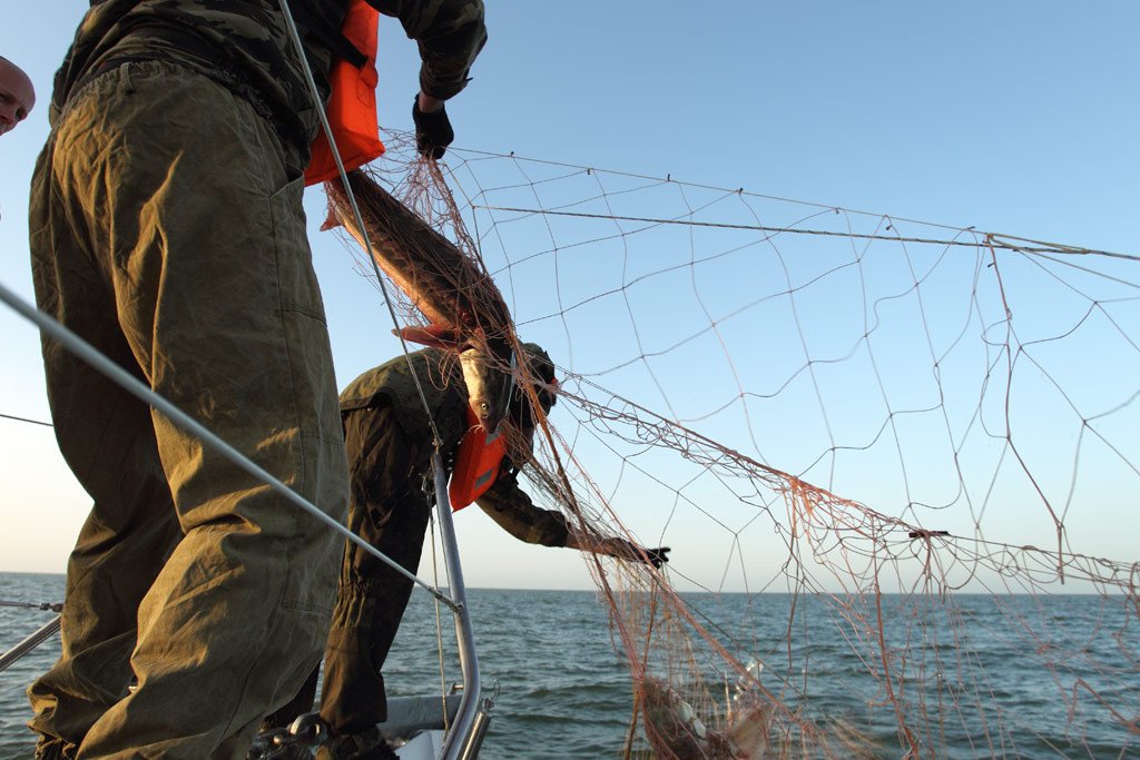 60-летний браконьер из Александровки может "сесть" на 3 года за вылов рыбы почти на 145 тыс. гривен
