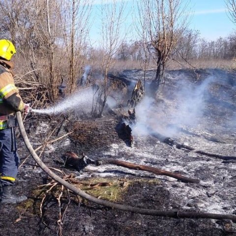 Голопристанские спасатели оперативно ликвидировали “мусорный пожар”