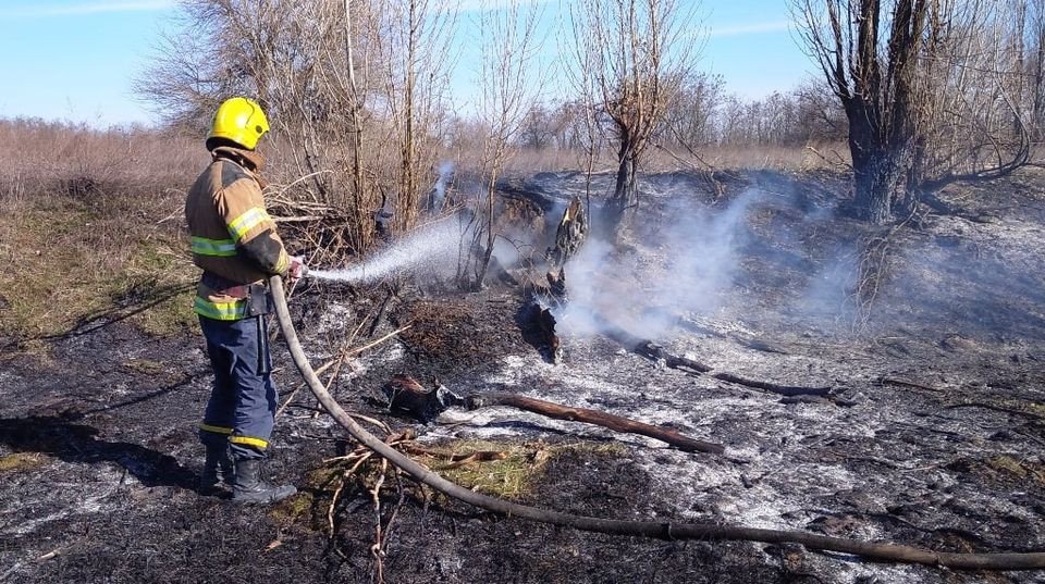 Голопристанские спасатели оперативно ликвидировали “мусорный пожар”