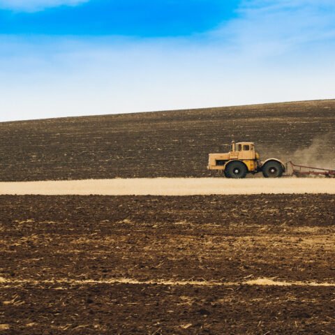 На Херсонщине стартовала посевная кампания: аграрии начали сеять яровой ячмень