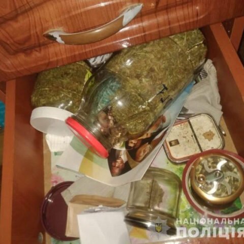 Полицейские изъяли полкилограмма каннабиса у жителя Скадовска