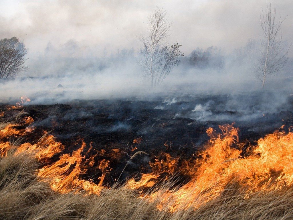 Пожары в экосистемах Херсонщины: новые штрафы поджигателей не пугают