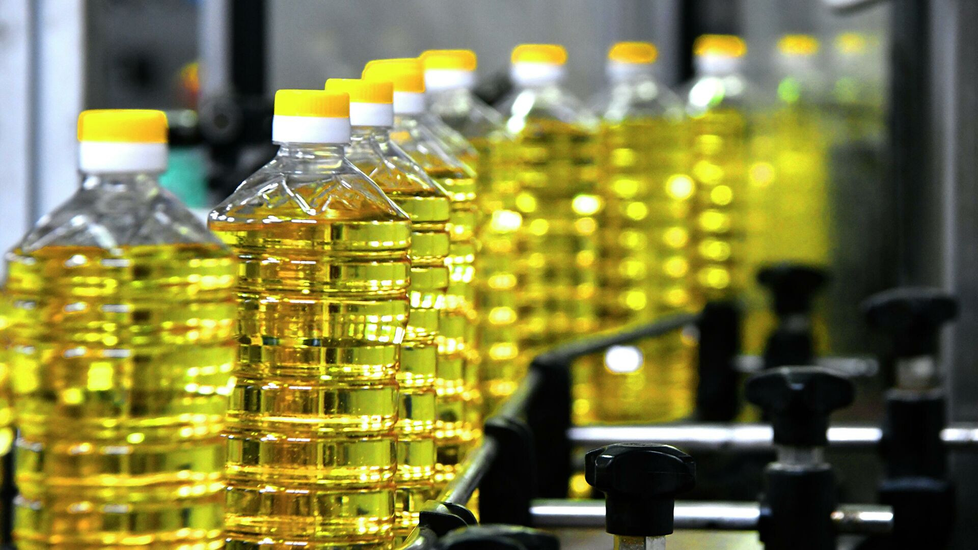 Растительное масло в Украине по 60 гривен: названы причины подорожания