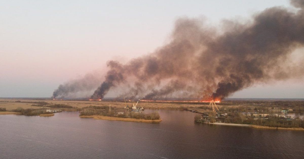 С начала года на Херсонщине произошло более 80 пожаров в экосистемах