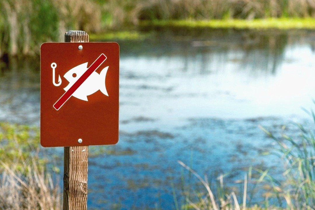 С первого апреля начинается нерестовый запрет на вылов водных биоресурсов