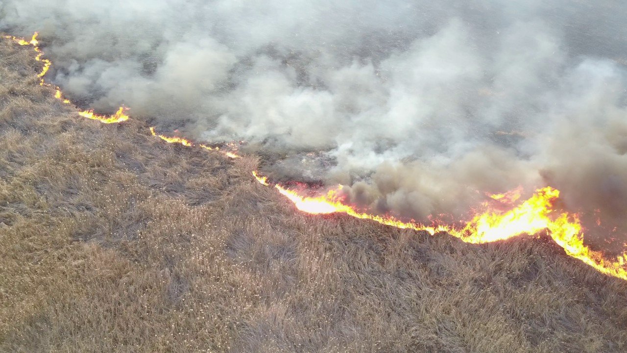 В экосистемах Херсонской области участились пожары