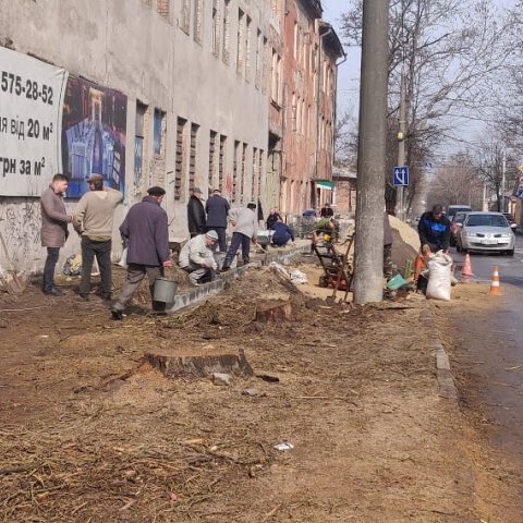 В Херсоне у “Моцарта” спилили 8 деревьев – на их месте хотят построить автопарковку