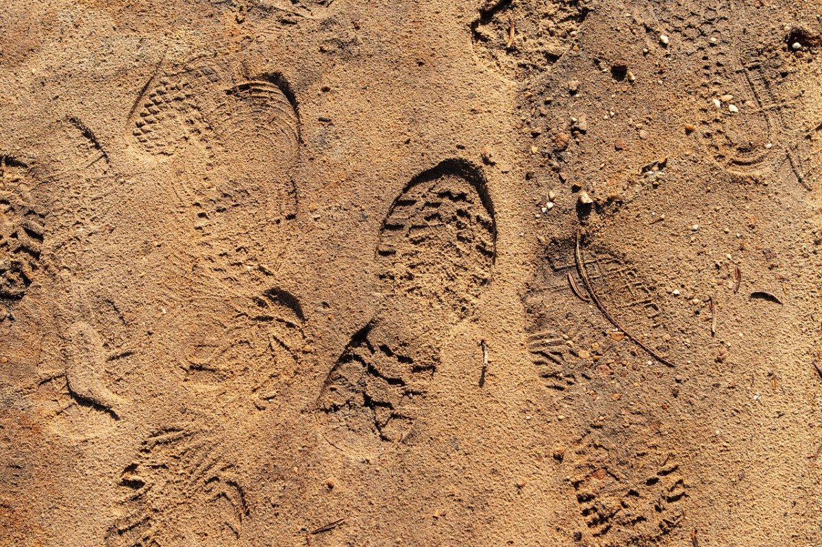 В Херсонской области магазинного вора отыскали по следам на песке