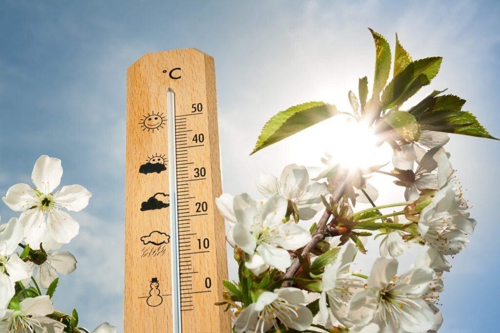В Украину идет потепление: синоптик дал подробный прогноз на весну и начало лета