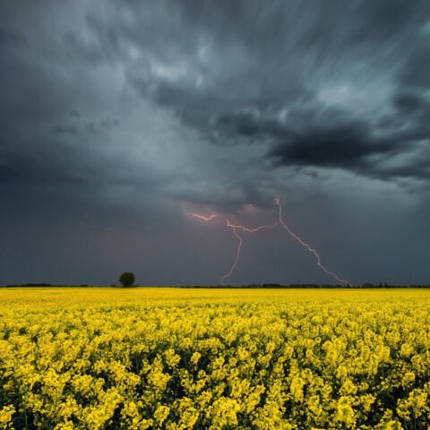 Засуха и бури с градом: синоптики прогнозируют аномальное лето в Украине