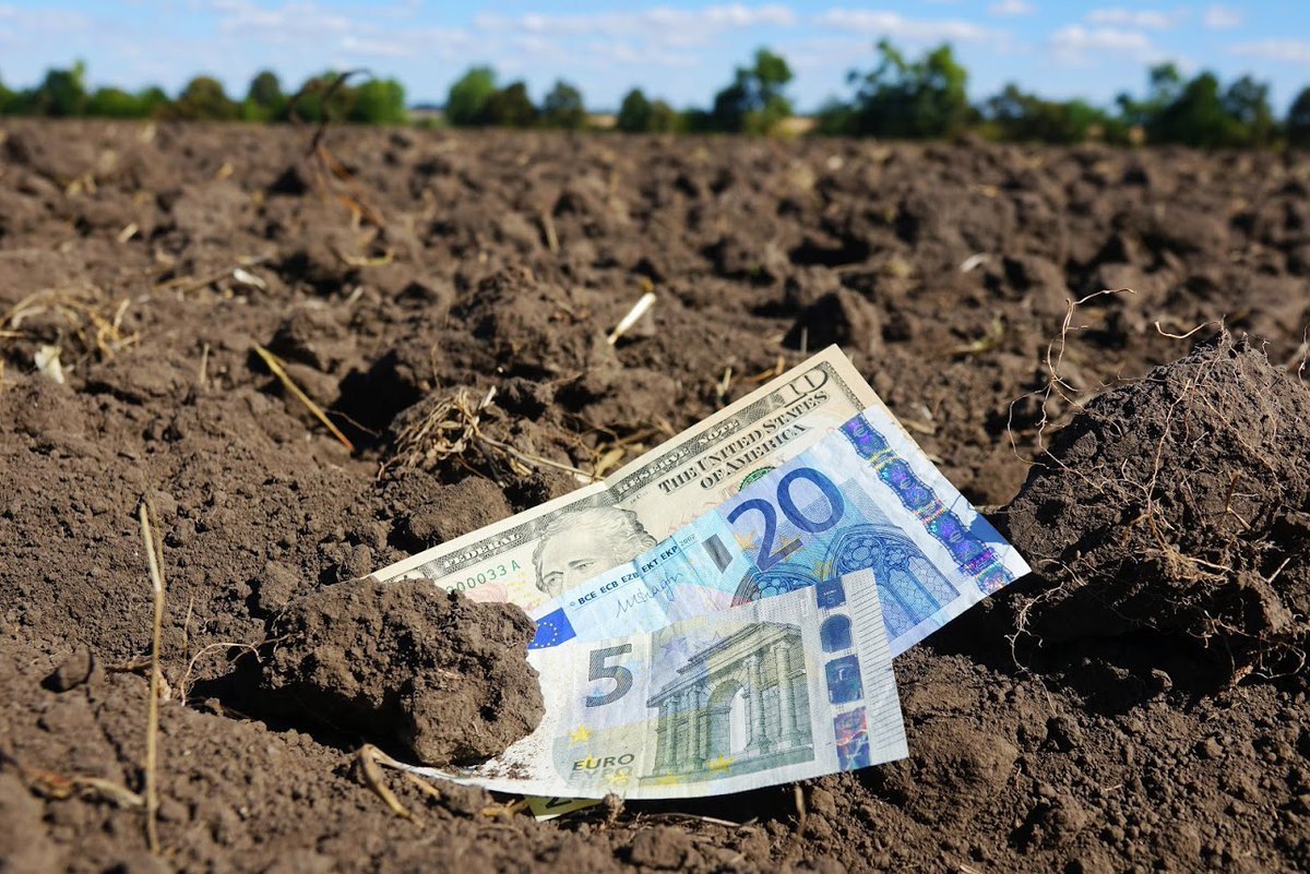 Земельную реформу в Украине тормозят на финальных стадиях: почему “зависла” Рада