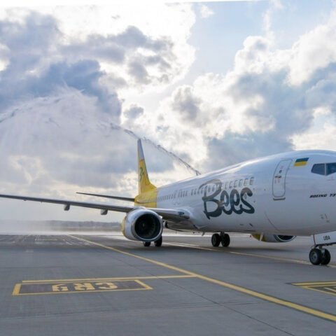 Bees Airline полетит из Херсона в Тбилиси и Анталию