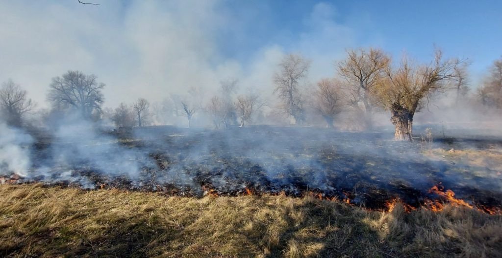 Херсонщина снова в огне — пылают экосистемы