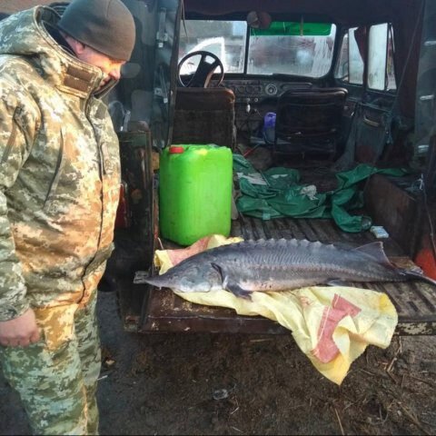 Херсонские пограничники обнаружили браконьеров с краснокнижным уловом на 100 тысяч гривен