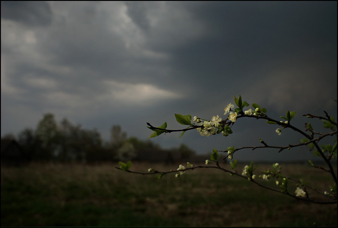 На ближайшие дни херсонские синоптики прогнозируют дожди с грозами