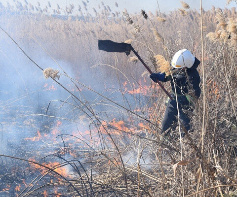 На прошлой неделе спасатели Херсонщины ликвидировали 11 пожаров на открытых территориях