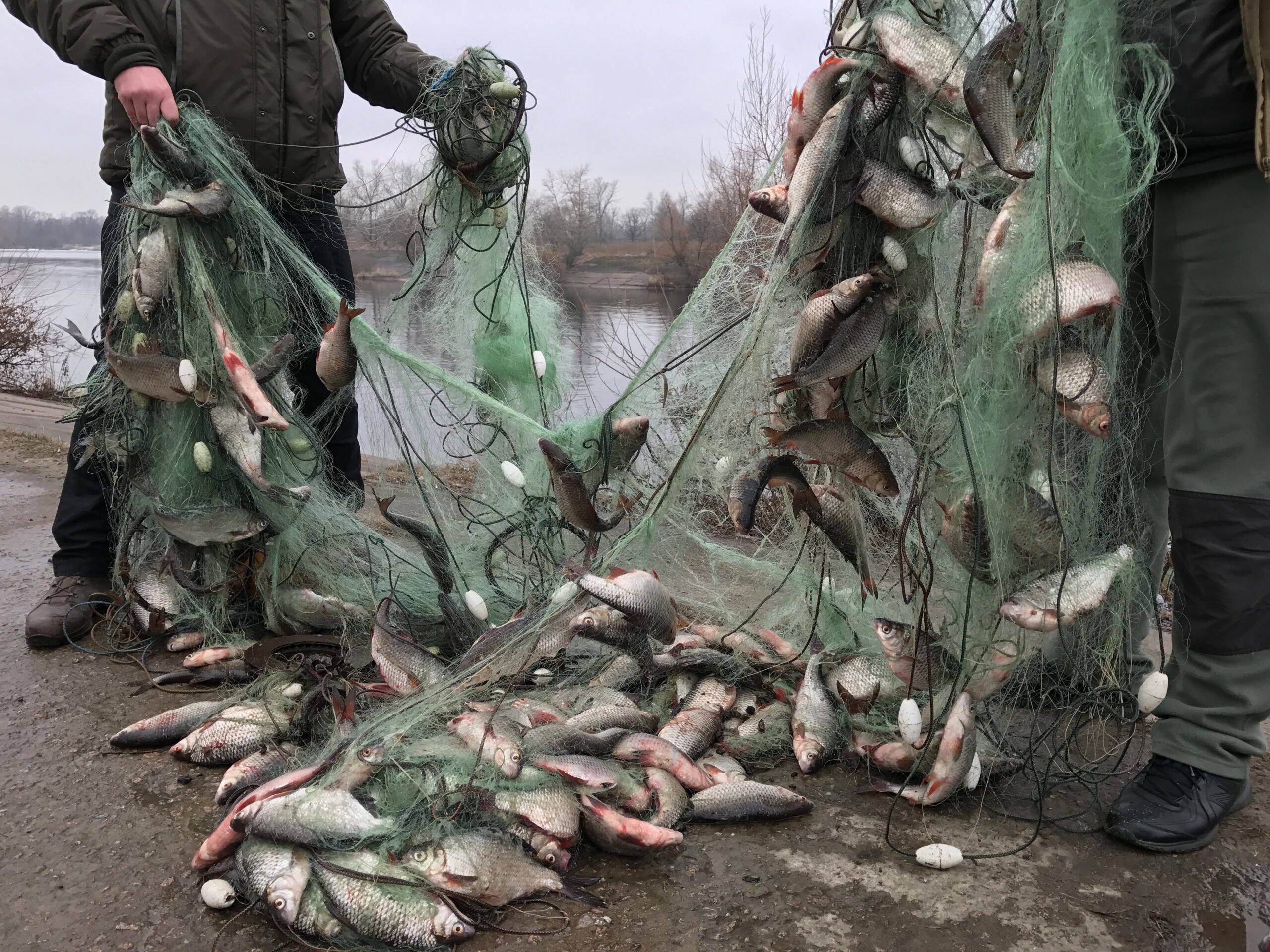 Незаконный вылов рыбы на почти 150 тысяч гривен: на Херсонщине будут судить браконьера