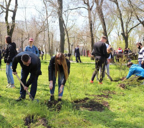 Почти 200 молодых саженцев пополнили экосистему Херсонского государственного университета