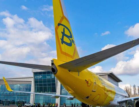 "Bees Airline" будет летать из Херсона в Грузию: детали