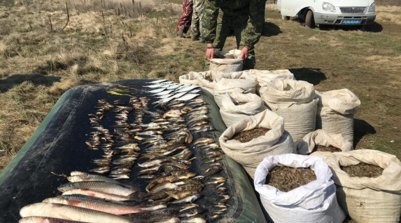 В Азовском море на Херсонщине браконьеры наловили креветок на 300 тысяч гривен