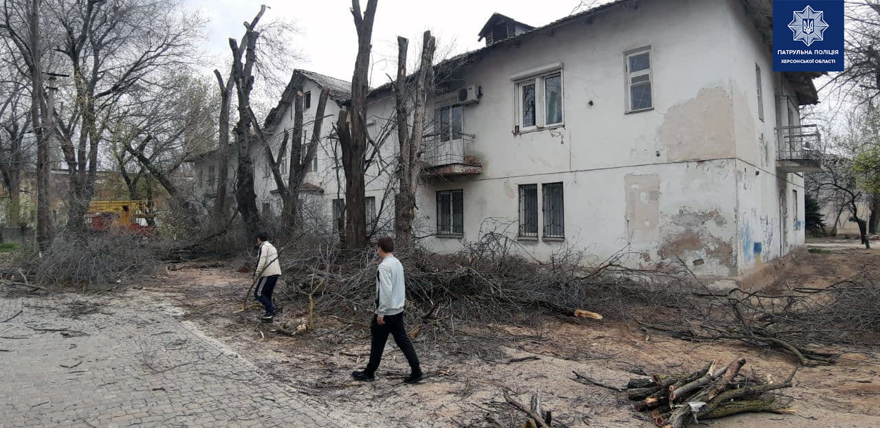 В Херсоне уничтожают деревья без разрешительных документов