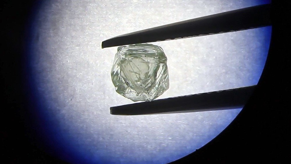 В Херсоне в желудке сома нашли бриллиант: это может быть “привет” из XIX века