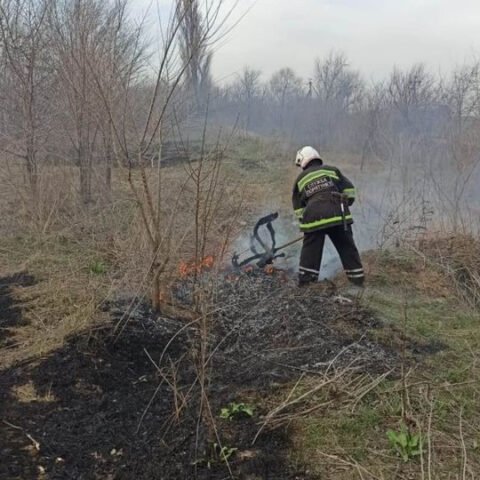 В области зафиксировано два случая возгорания в экосистемах