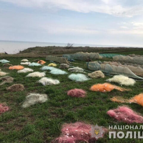 Водная полиция Херсонщины предупредила браконьерский вылов краснокнижных видов рыб на сумму более 1 млн гривен