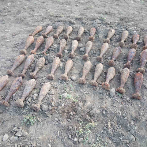 Жители Херсонской области нашли в поле 34 старых боеприпаса